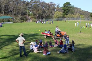 2018 Term 3 Farm Day on the Oval 49 Large Large